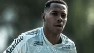 Ivan Storti/ Santos FC