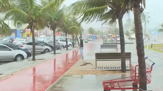 Reprodução TV Bahia