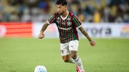 Reprodução / Marcelo Gonçalves / Fluminense F.C.