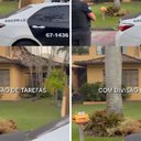 Reprodução | Instagram | @policiacivil_rj