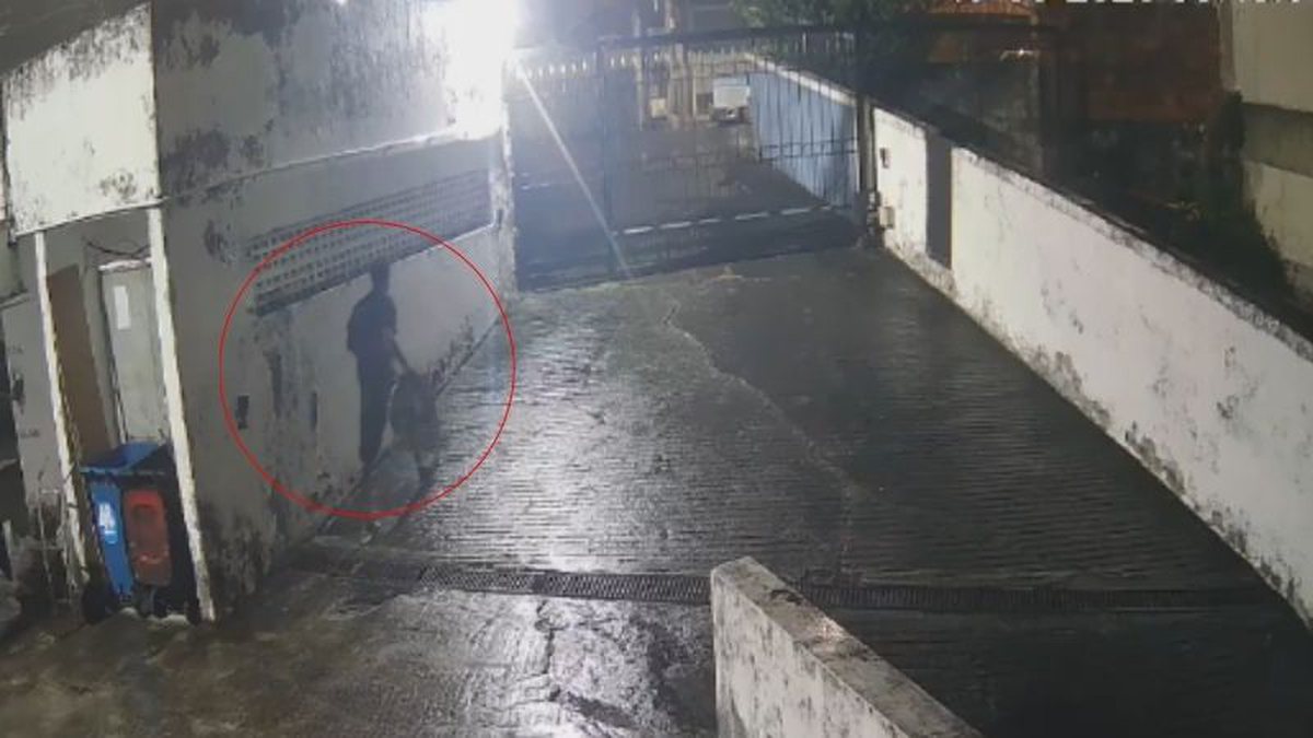 Câmera flagra suspeito furtando cabos do sistema de segurança de condomínio em Salvador; assista
