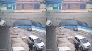 Reprodução