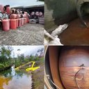 Fotos: Ibama/Chesf