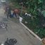 Reprodução/ Vídeo