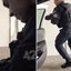 Reprodução: Polícia Militar
