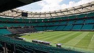 A Arena Fonte Nova teve a estréia de uma nova voz ontem (30), pelo Campeonato Brasileiro - Reprodução