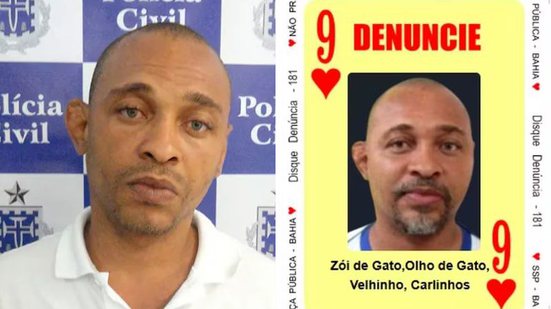 Divulgação