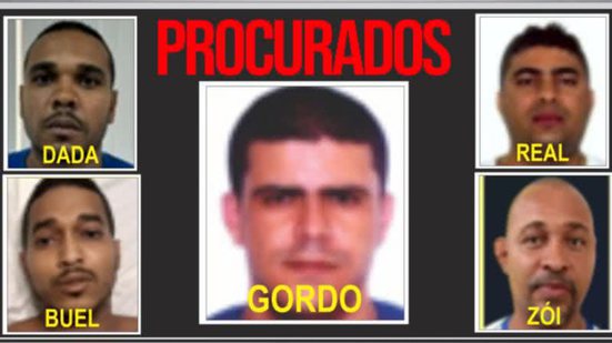 Divulgação