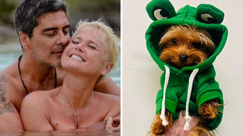 Foto: Reprodução / redes sociais