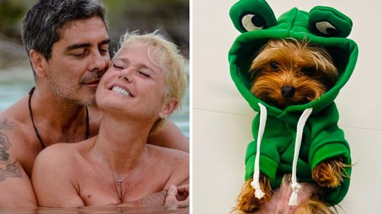 Foto: Reprodução / redes sociais