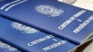 Para agendar atendimento em caso de interesse, o candidato deverá acessar o site do Salvador Digital - Imagem: Agência Brasil