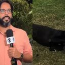 Reprodução/@tvbahiaoficial
