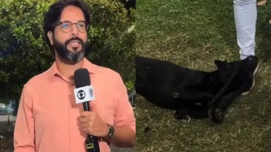 Reprodução/@tvbahiaoficial