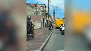Leitor BNews
