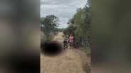 Brigada Voluntária Anjos Jacuipenses
