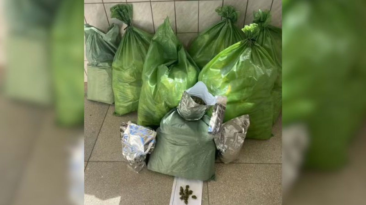 Polícia prende quatro pessoas transportando mais de 50 kg de maconha na Bahia - QTU Questões do Universo