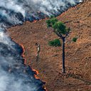 Rodrigo Baleia - Greenpeace