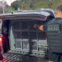 Divulgação | PCBA