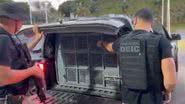 Divulgação | PCBA