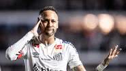 Raul Baretta / Santos FC
