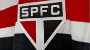 Erico Leonan/São Paulo FC