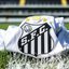 Reprodução / ReinaldoCampos / Santos FC