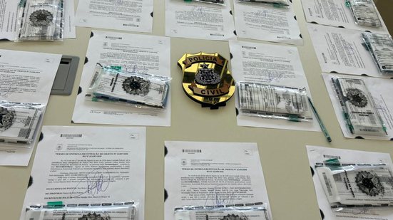 Divulgação / Polícia Civil