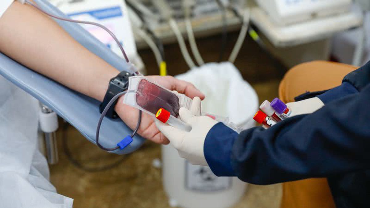 Após anos de restrições, Testemunhas de Jeová mudam posição sobre doação de sangue; entenda o que mudou