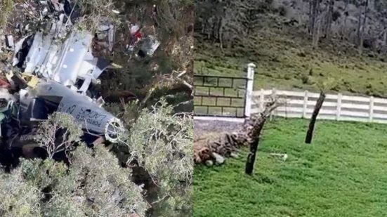 Reprodução / Redes Sociais