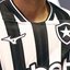 Vitor Silva/Botafogo