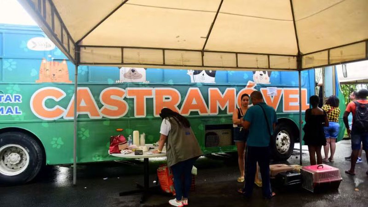 Castramóvel oferece castração gratuita para cães e gatos em Salvador; veja como participar - Foto