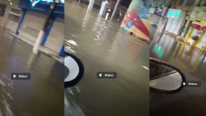 Reprodução