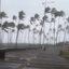 Paulo M. Azevedo/BNews