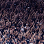 Rodrigo Coca/Corinthians