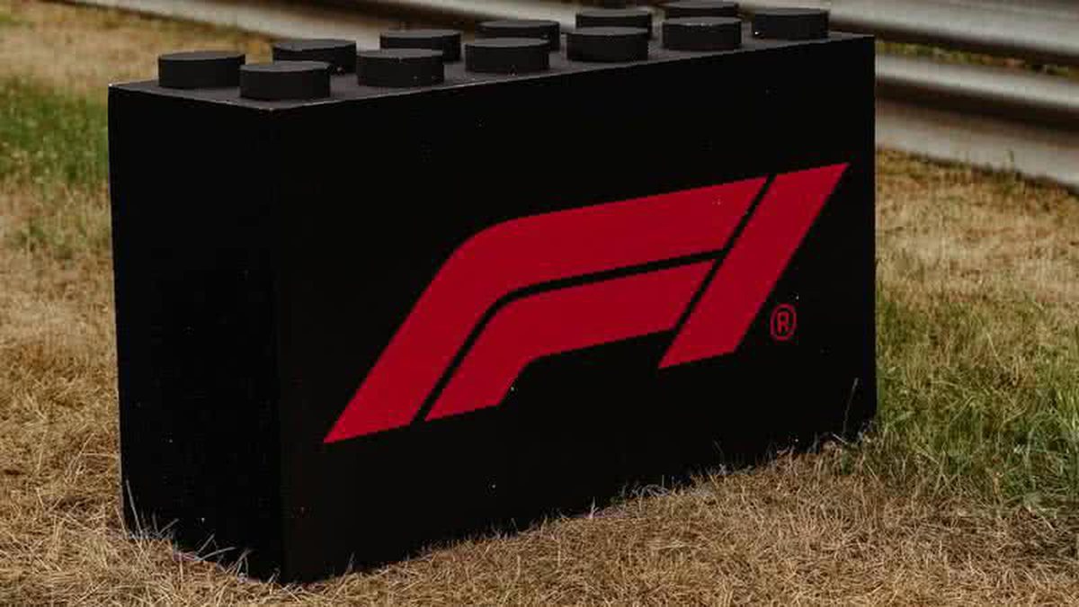 Ex-chefão da Fórmula 1 é detido depois de ser encontrado com arma ilegal em jato particular - Foto