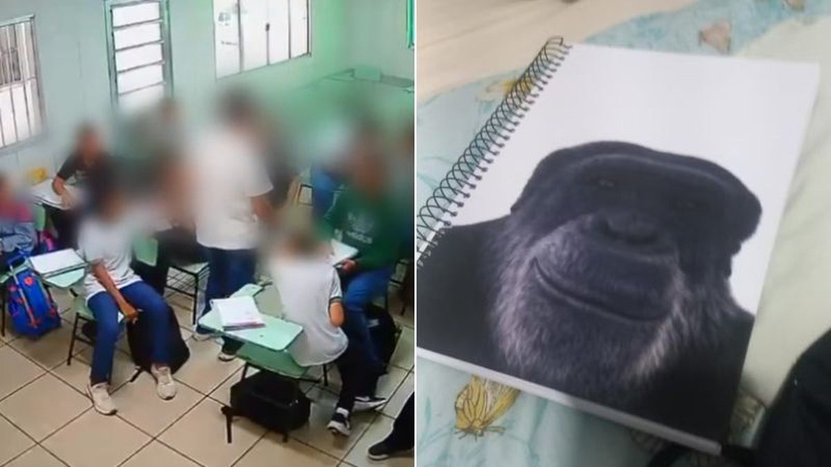 Professor que comparou aluno negro a chimpanzé em sala de aula é condenado a 7 anos de prisão - QTU Questões do Universo