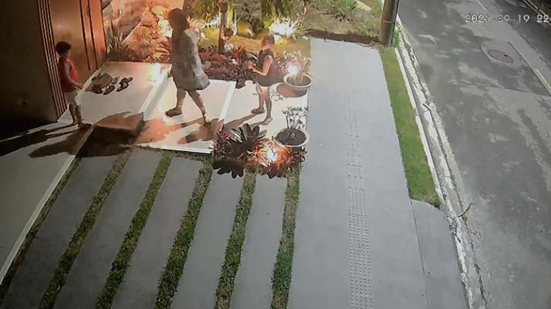 Reprodução