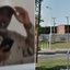 Reprodução/ NBC News e Reprodução/ Google Street View