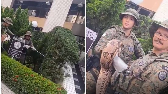 Imagem VÍDEO: Cobra de grande porte é resgatada em canteiro de edifício comercial em Salvador; assista