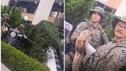Imagem VÍDEO: Cobra de grande porte é resgatada em canteiro de edifício comercial em Salvador; assista