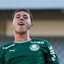 Reprodução / Palmeiras