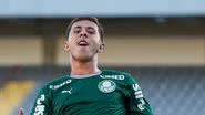 Reprodução / Palmeiras