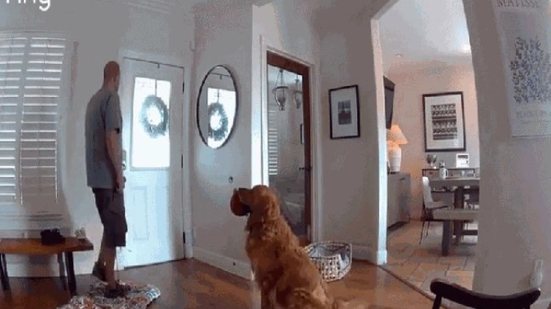 O cachorro não alertou para a presença do desconhecido - Dante Rowley/Instagram