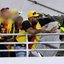 Reprodução / Transmissão