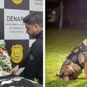 Montagem BNews | Reprodução | Divulgação | SSP-PI