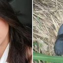 Reprodução | Redes Sociais