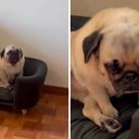 Foto: Reprodução / redes sociais