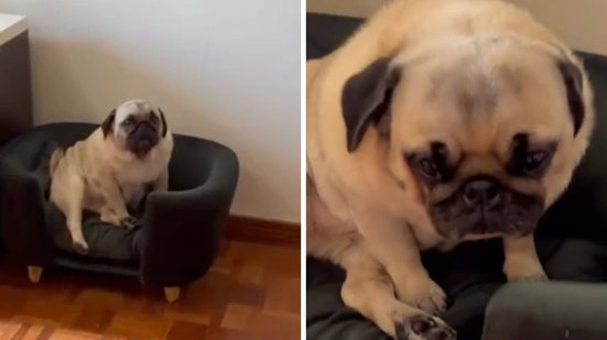 Foto: Reprodução / redes sociais