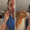 Foto: Reprodução / redes sociais