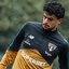 Erico Leonan / São Paulo FC